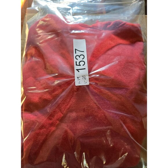 Carhartt Red Loose Fit Hoodie XS Sweatshirt With Kangaroo Pocket & Sleeve Logo - Picture 7 of 7